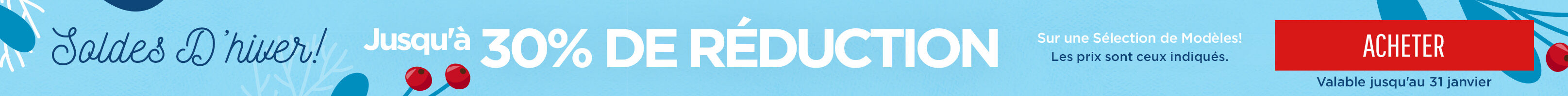 Winter Sale Skinny Banner North/UK